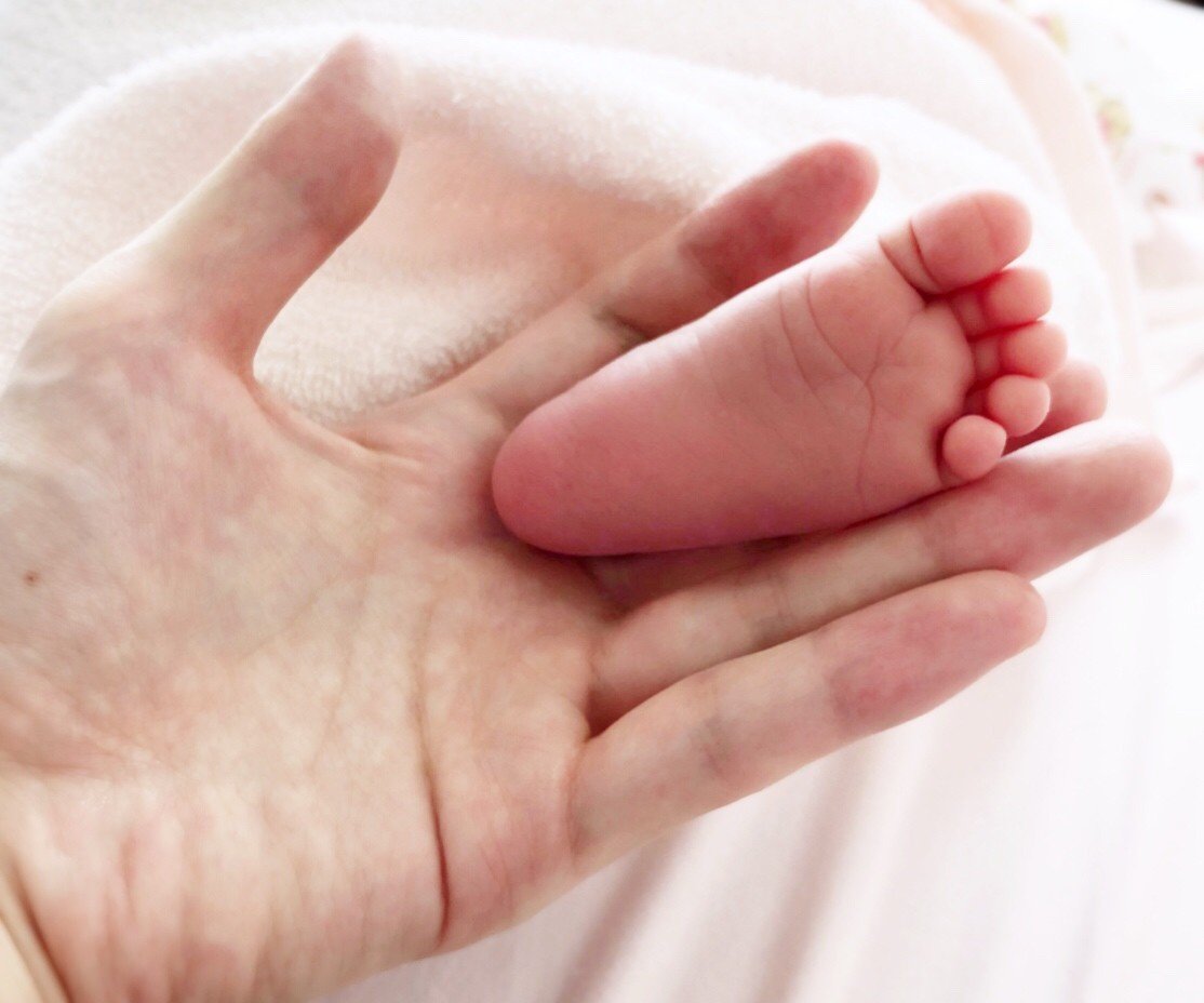 妊娠中のお話 ゆきねこ Note