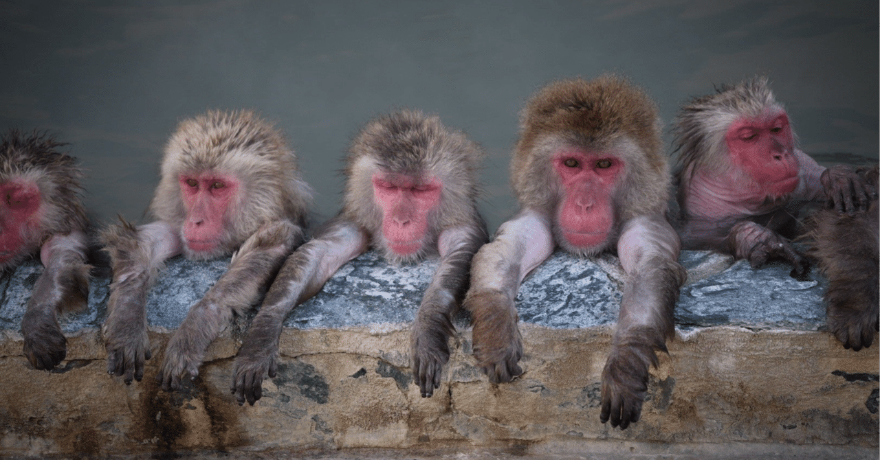 6.I'm back in Tokyo（2)｜Martin Donuts｜note