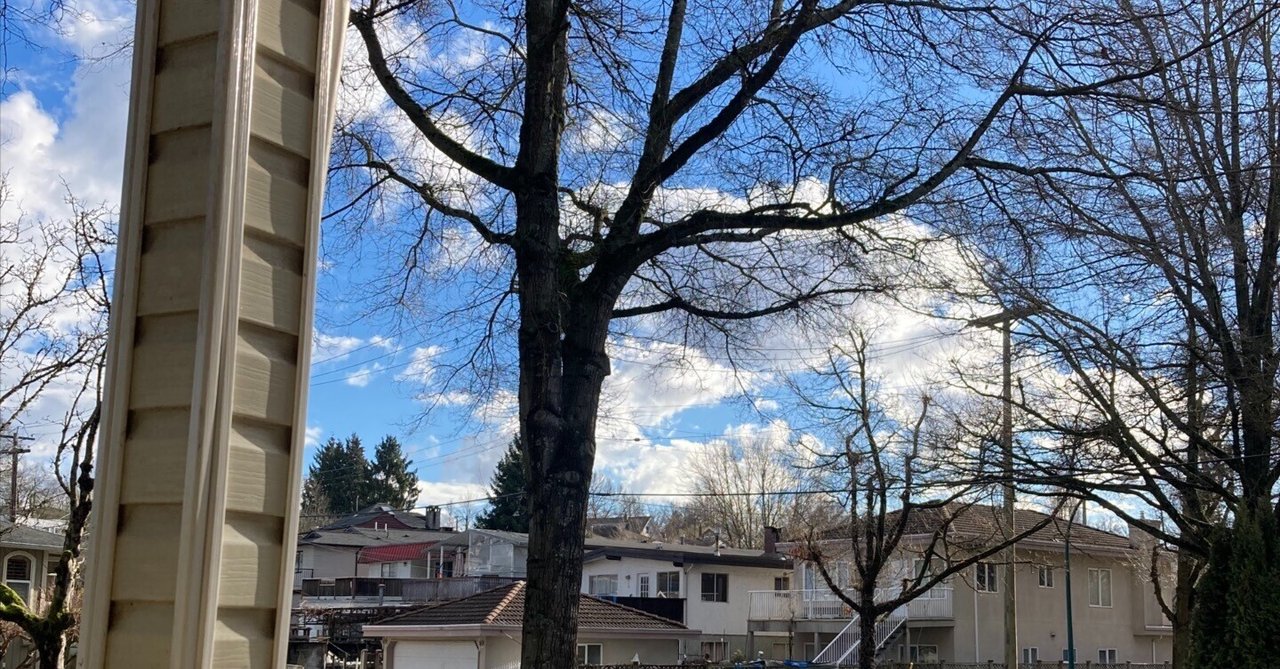 9.ルームシェア（2)｜Martin Donuts｜note