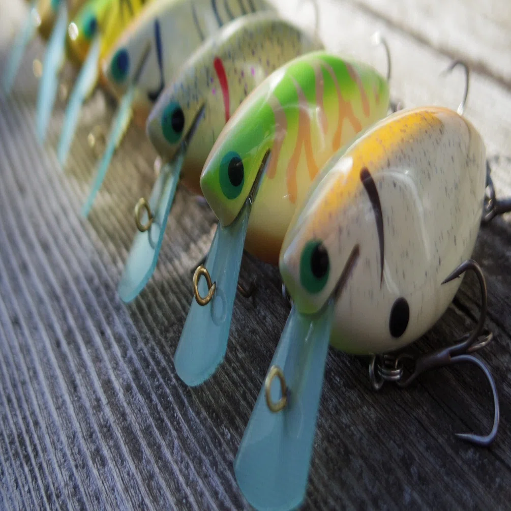 Vincent COLORS｜stumpmaster