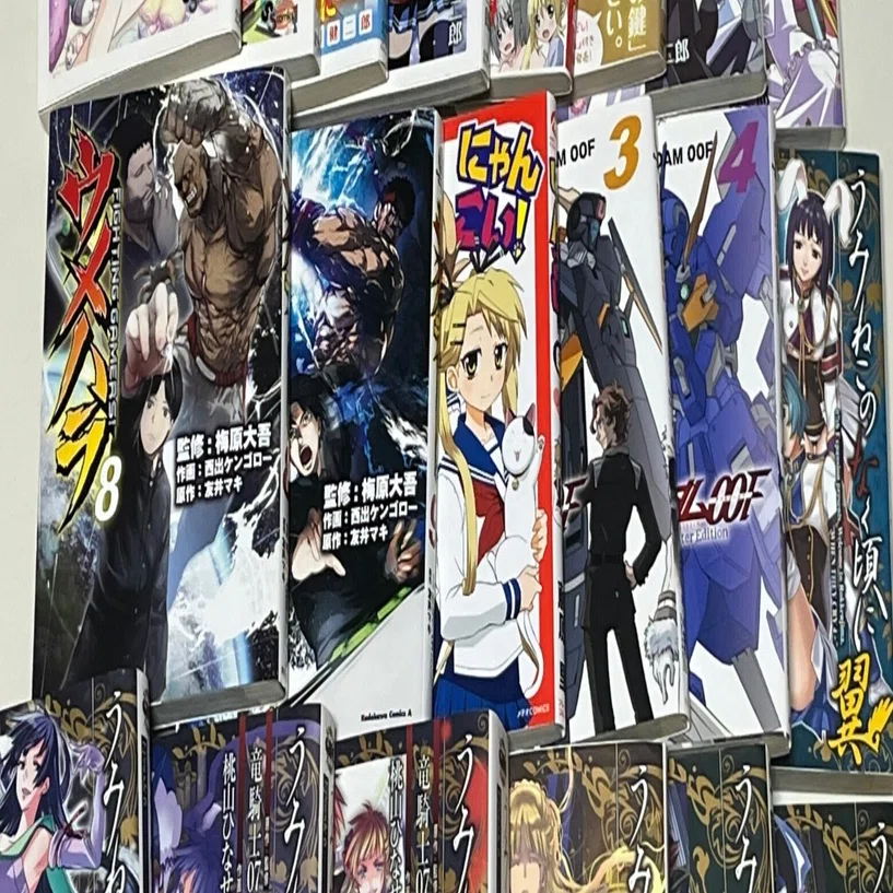 足りない漫画を全て揃えたはなし｜watariko