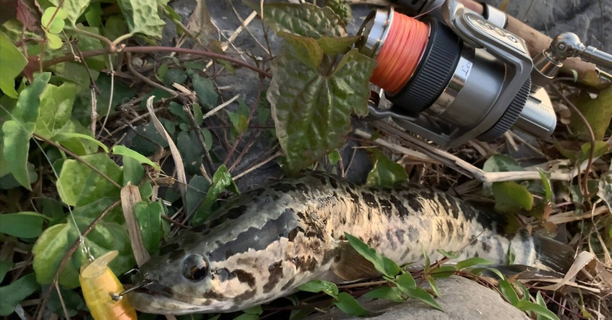 製造終了から20年の時を越えた今こそ、アブガルシア最後の