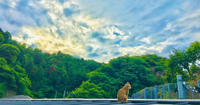 毎日を丁寧に、一つ一つの行動の中に心の喜びを感じること。