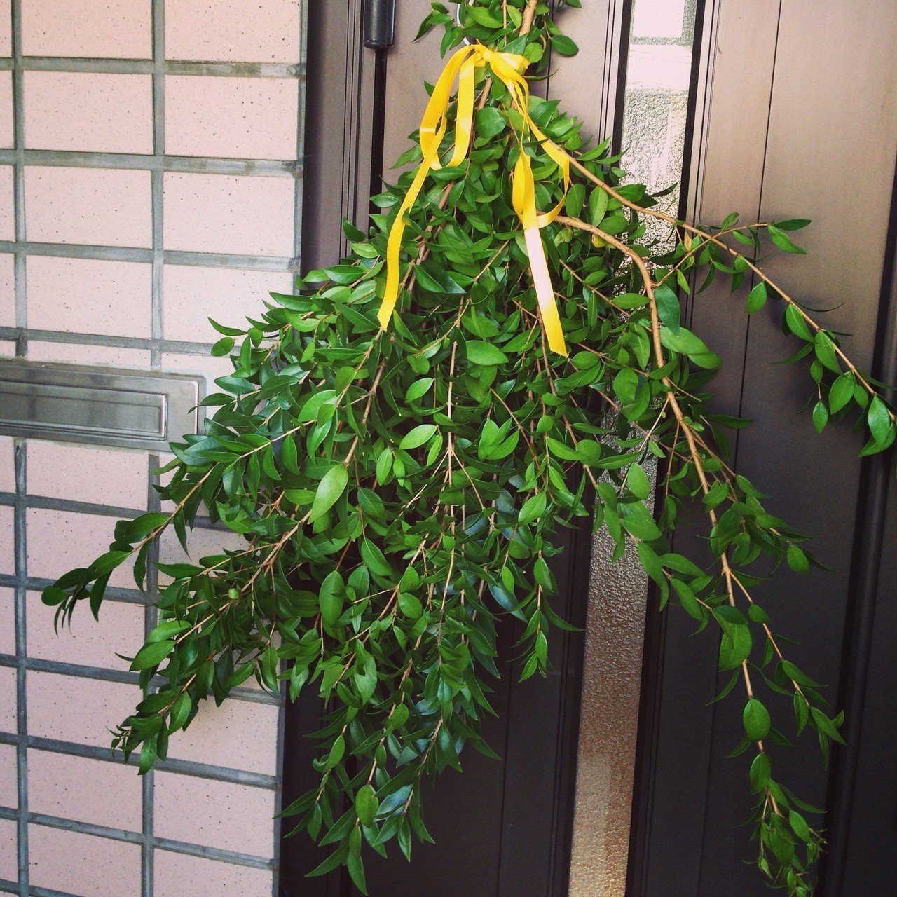 香りがいいので 勿体無くて 括って玄関先に リース 輪っかにしてない枝飾りはなんていう名前だっけ 笑 玉兎 Note 香りがいいので 勿体無くて 括って玄関先に リース 輪っかにしてない枝飾りはなんていう名前だっけ 笑 玉兎 Note