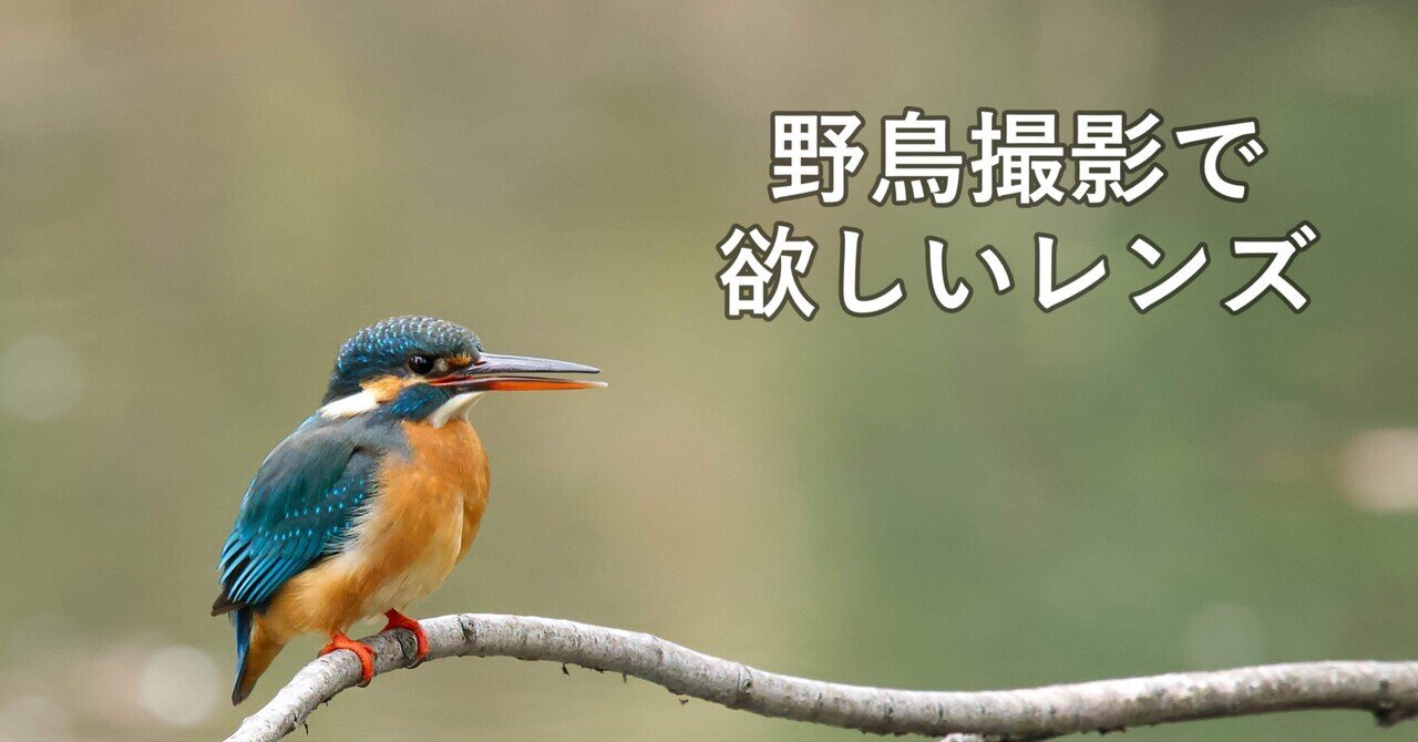高細密な超望遠をお持ちの方の野鳥撮影サブ機に良好』 ニコン