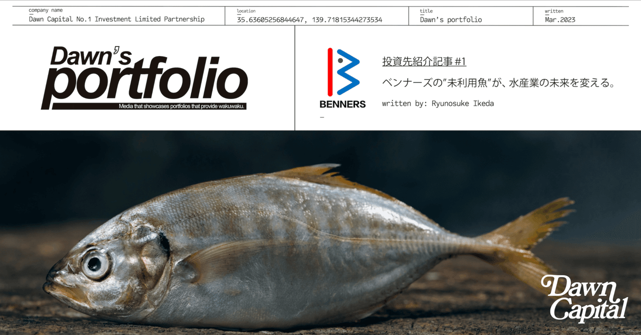 淡水魚1号〜12号 終刊号 淡水魚保護総合事業報告 14冊 淡水魚1号〜12号 終刊号 淡水魚保護総合事業報告 14冊