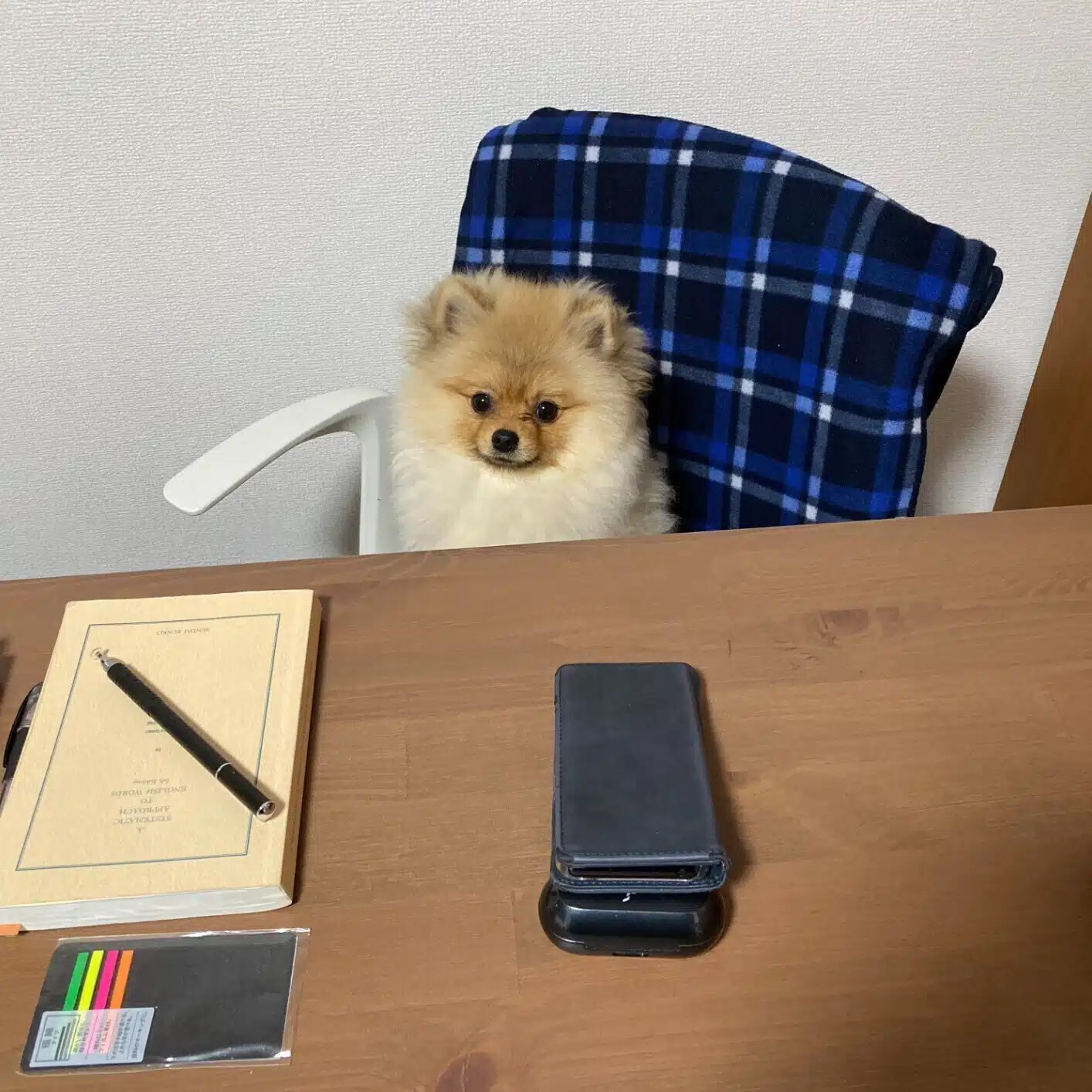 揚塩ころも