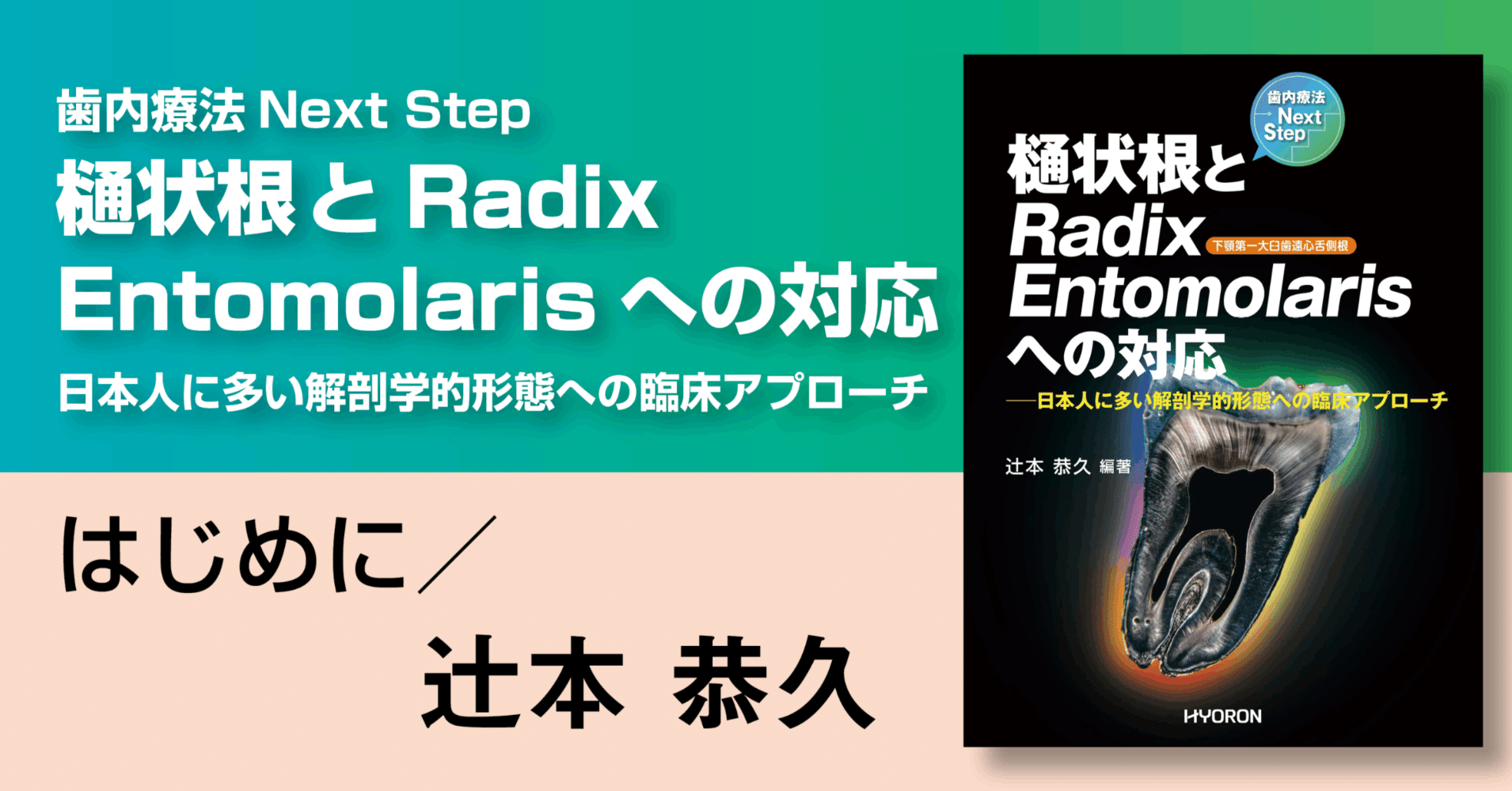 当店限定販売】 口腔解剖学 筋学、内臓学、日本人永久歯解剖学 ノン 