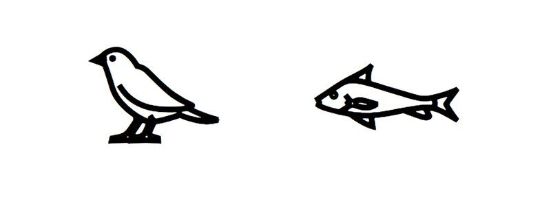 インスタのおしゃれ文字を調べたら おもしろ記号に出会えた 粒子 Note インスタのおしゃれ文字を調べたら おもしろ記号に出会えた 粒子 Note