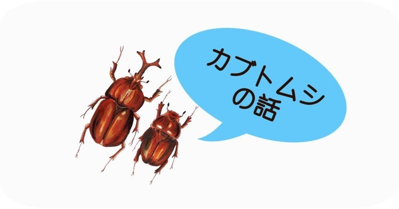 カブトムシ