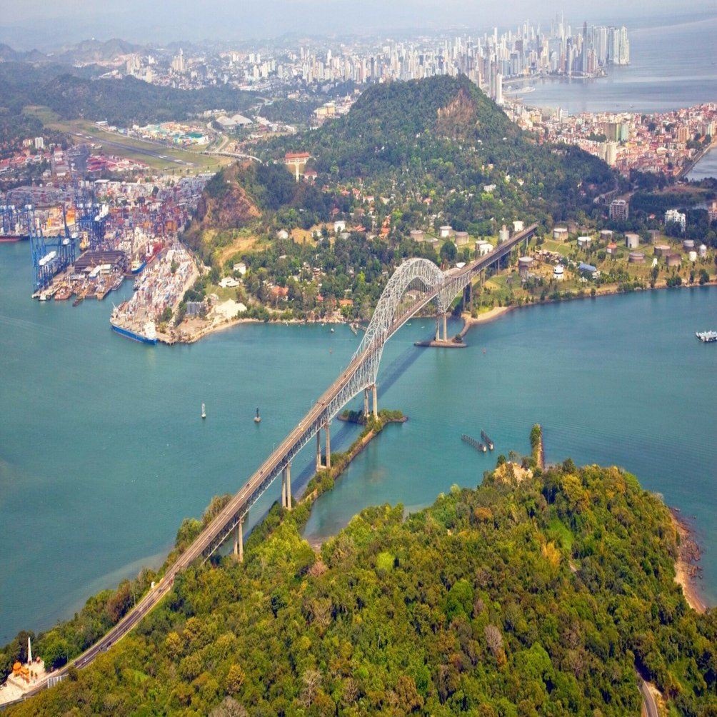 植毛術後ダウンタイムを早く乗り切るための食事」とは？【第30回 国際