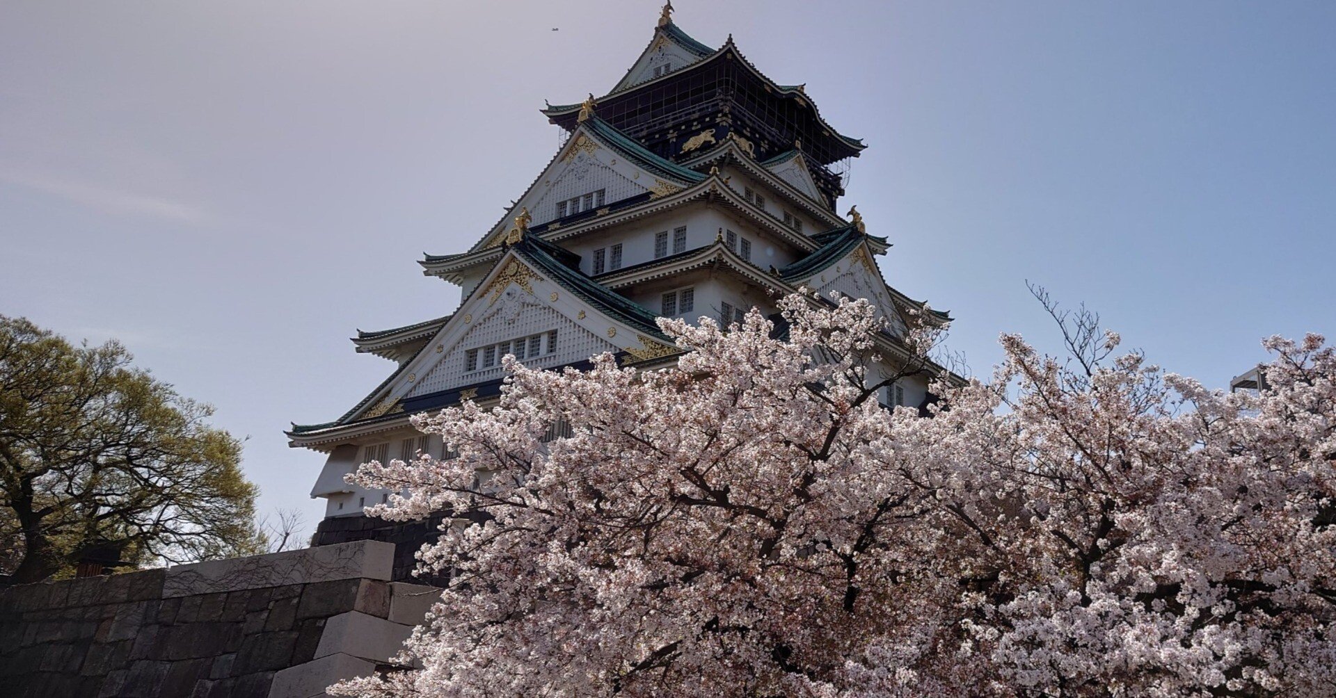 大阪城公園2021年3月31日【桜】｜レタス