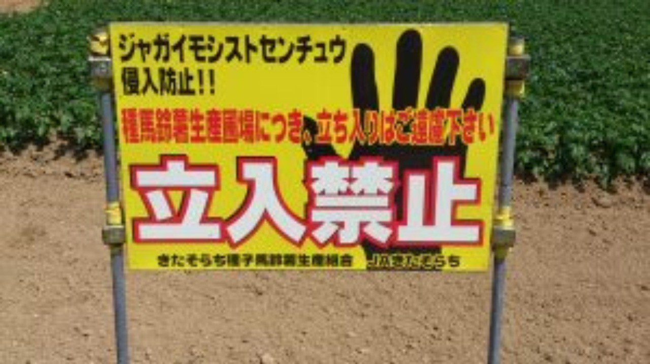 主な土壌病害 センチュウ対策 古賀祐史 古賀農園 福岡県 Note 主な土壌病害 センチュウ対策 古賀祐史 古賀農園 福岡県 Note