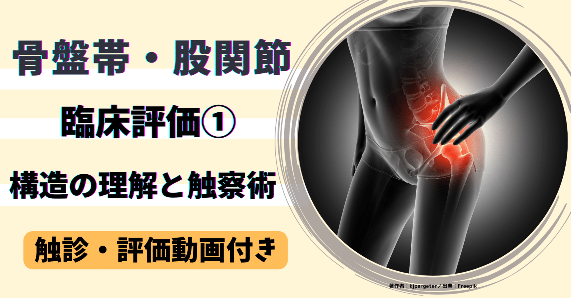 骨盤帯・股関節の臨床評価①〜構造の理解と触察術〜【サブスク】｜理学