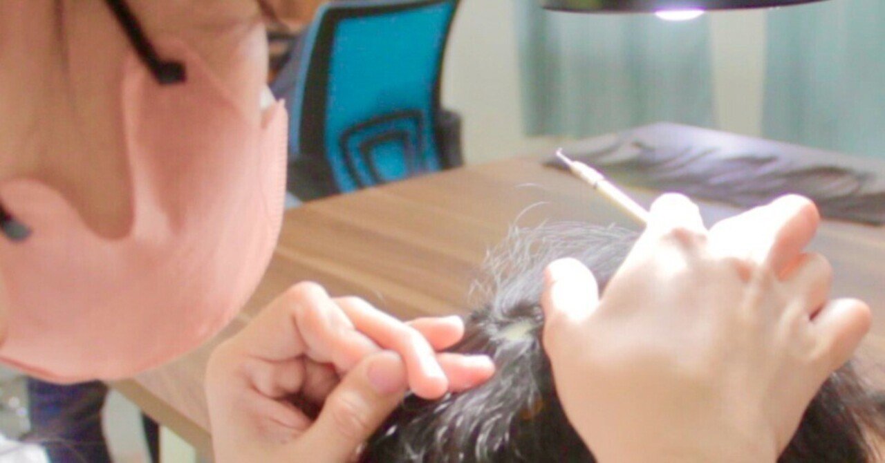 いつき様 専用 カットウィッグ 7体 カットウィッグ一覧 | FIVE WEB