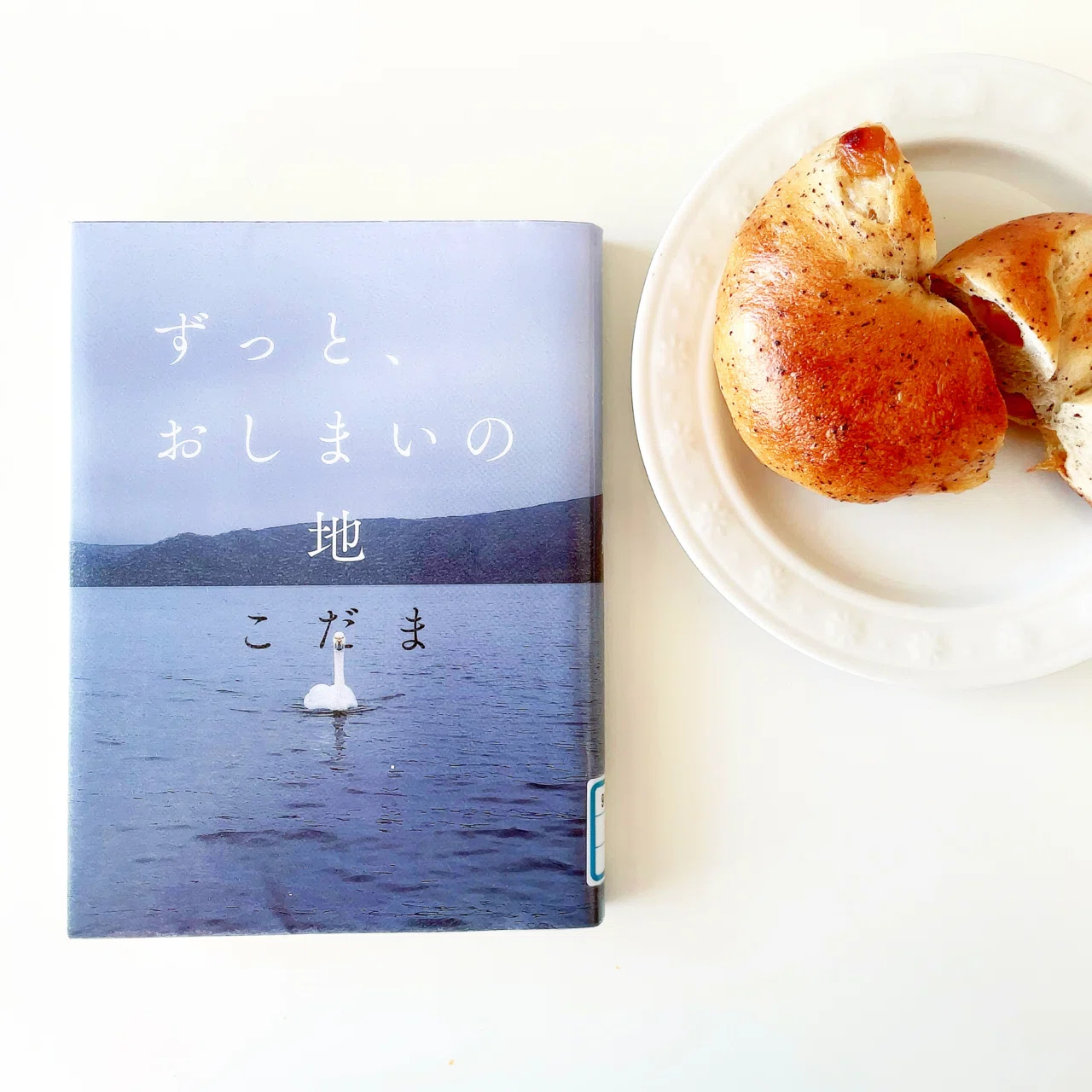 こだまさん 読書感想】こだまさんのエッセイから受けとったもの｜涼元風花