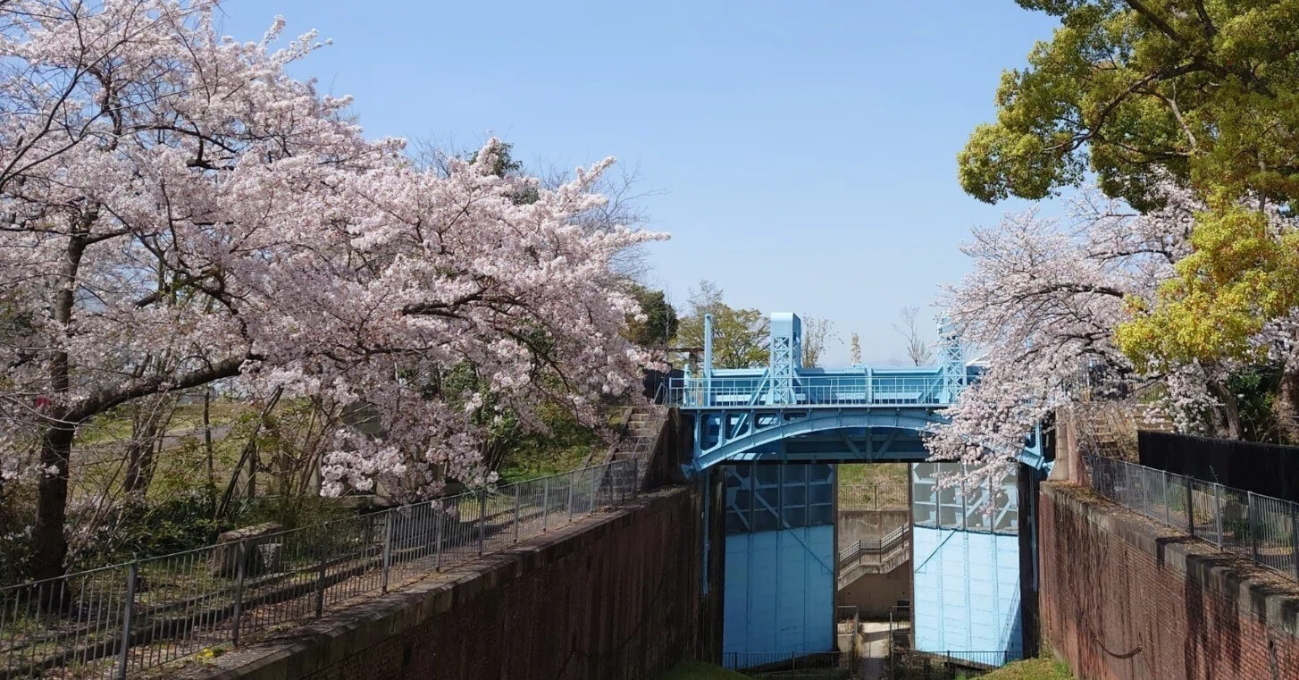 淀川 河川 公園 長柄 地区