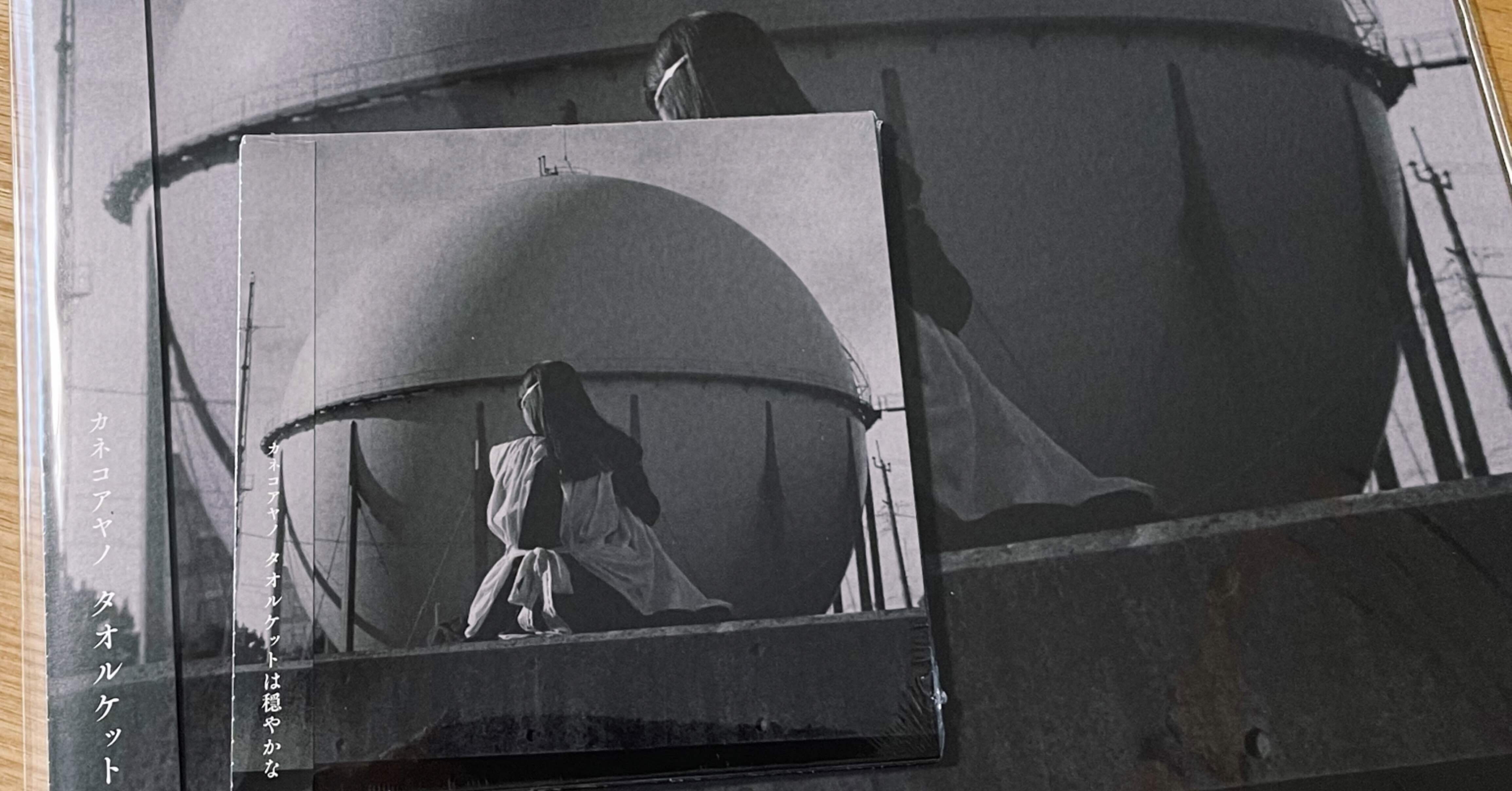 いいんだよ 分からないまま」 カネコアヤノの全肯定｜のりまつ