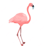 Hiroshi Flamingo