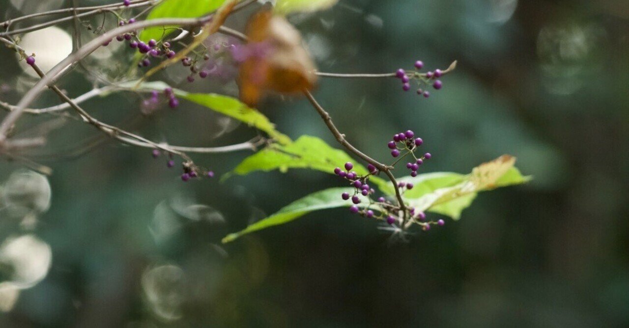 困っちゃった・・・笑|roco* |note