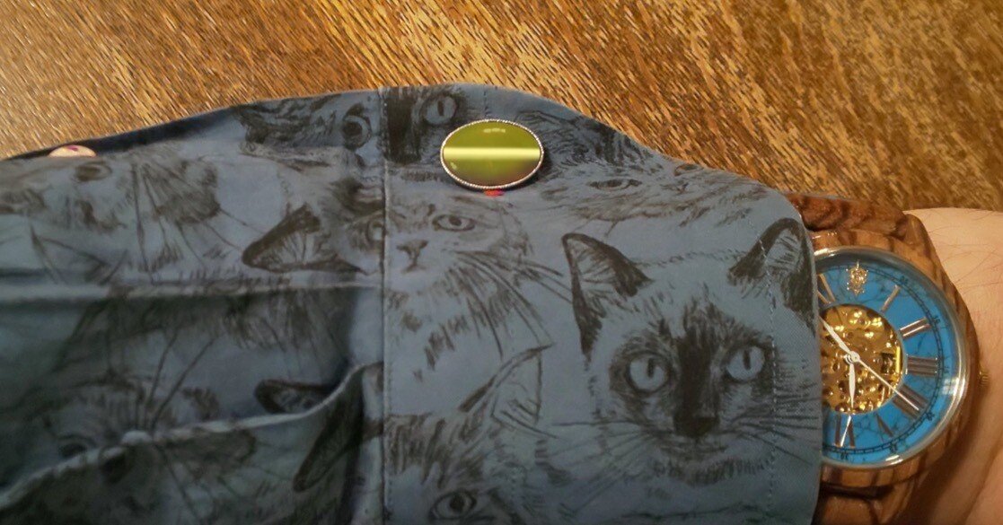 かがやく猫の瞳の深淵には・・・｜桂田祐介