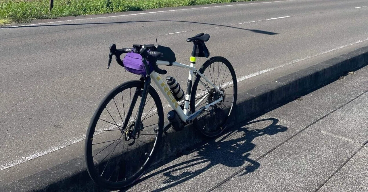 ロードバイク(TREK Domane AL4)を購入した話｜・
