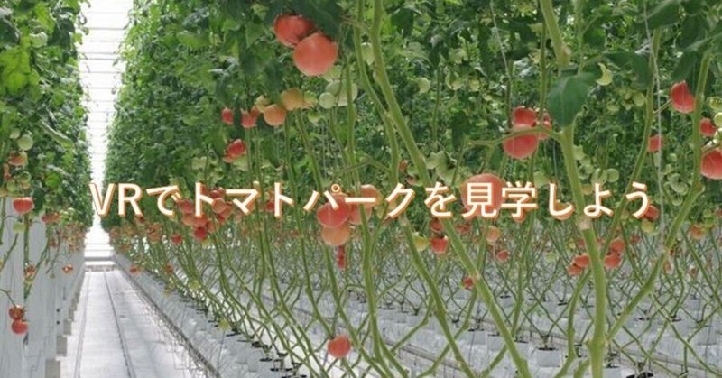 日本最高峰のトマト栽培施設「トマトパーク」をVRで見学！（農業）