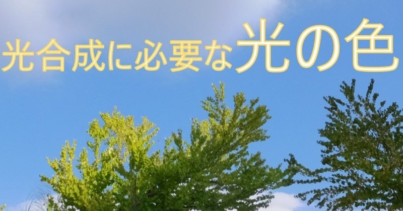 光合成で使っている太陽光ってどんな色 seto研究所 石川 Note 光合成で使っている太陽光ってどんな色 seto研究所 石川 Note