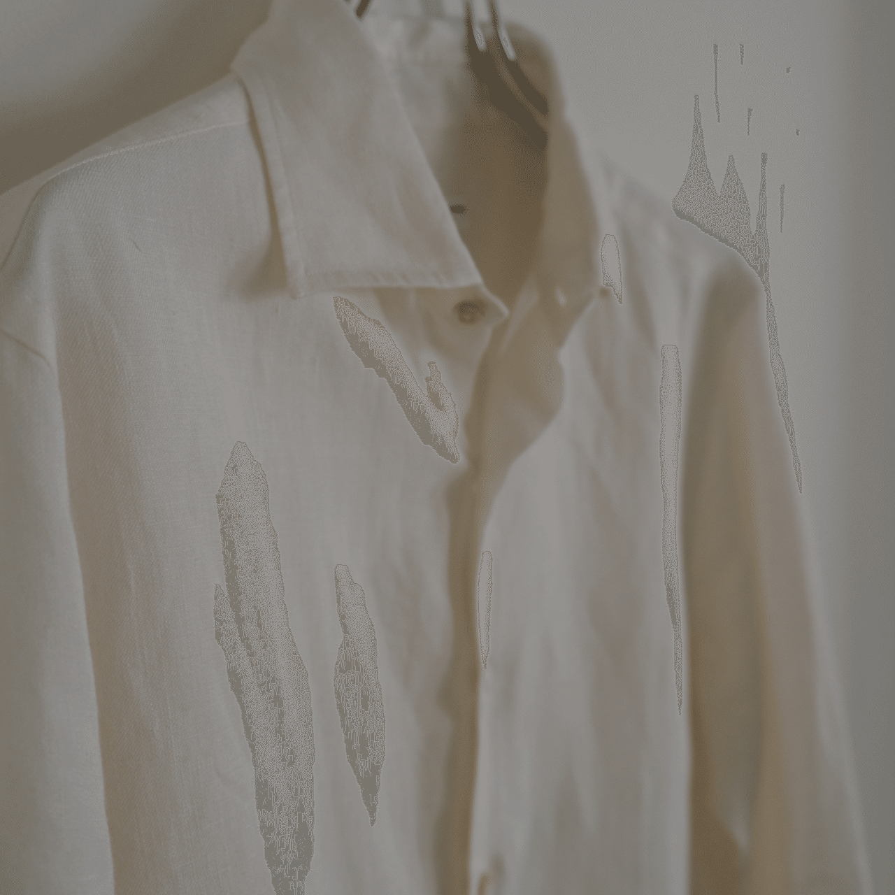 Aquellos Ojos Verdes BISHU / Dressed linen のシャツ|水岡 Aquellos Ojos Verdes BISHU / Dressed linen のシャツ|水岡