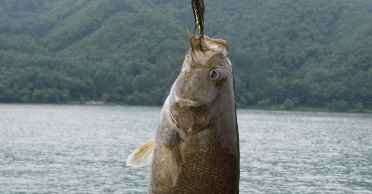 雑談 バス釣り毛鈎メモ 佐久間 功 Note 雑談 バス釣り毛鈎メモ 佐久間 功 Note