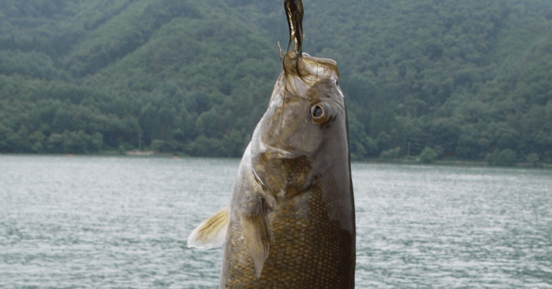 雑談 バス釣り毛鈎メモ 佐久間 功 Note