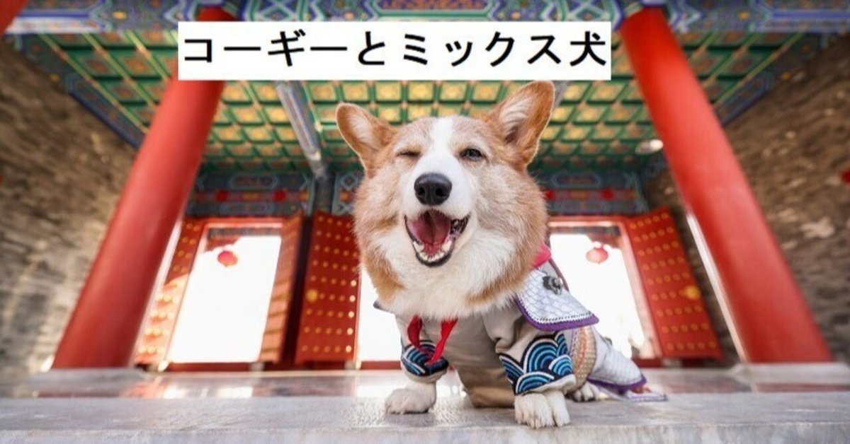 コーギーと森の仲間達 コーギーと仲間たち - YouTube