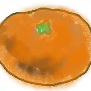konomikan