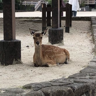 トップに移動