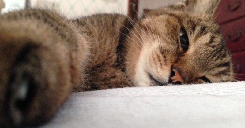 コンビニたそがれ堂 猫たちの星座 香桑 Note