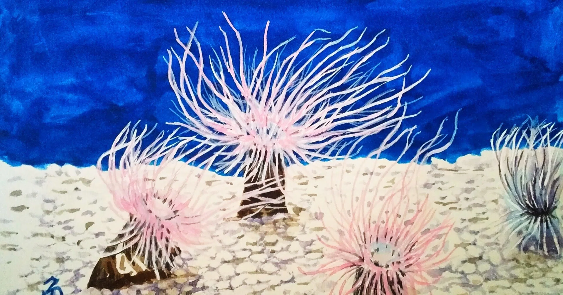 【絵画】ネイチャーアート「砂イソギンチャクとクラカケトラギス」原画 rectangle_large_type_2_3953bdf