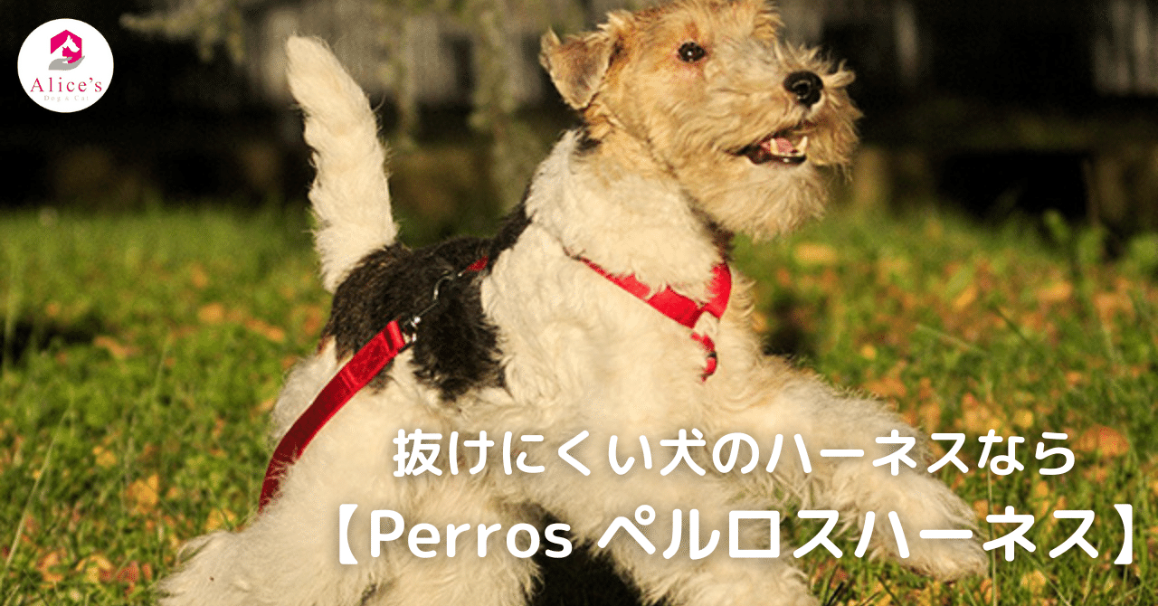 ペルロスハーネス　XS（PA10/L）チョコレート　犬用