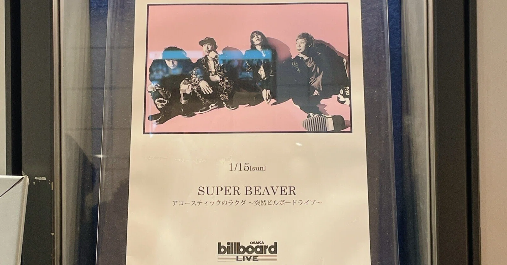 SUPER BEAVER アコースティックのラクダ~突然ビルボードライブ SUPER BEAVER アコースティックのラクダ~突然ビルボードライブ