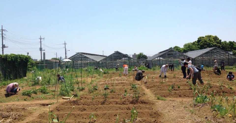野菜づくりを始めようと思ったら 市民農園 貸し農園 体験農園の選び方in藤沢 えと菜園コトモファーム Note