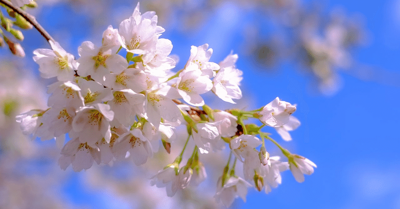 3月9日