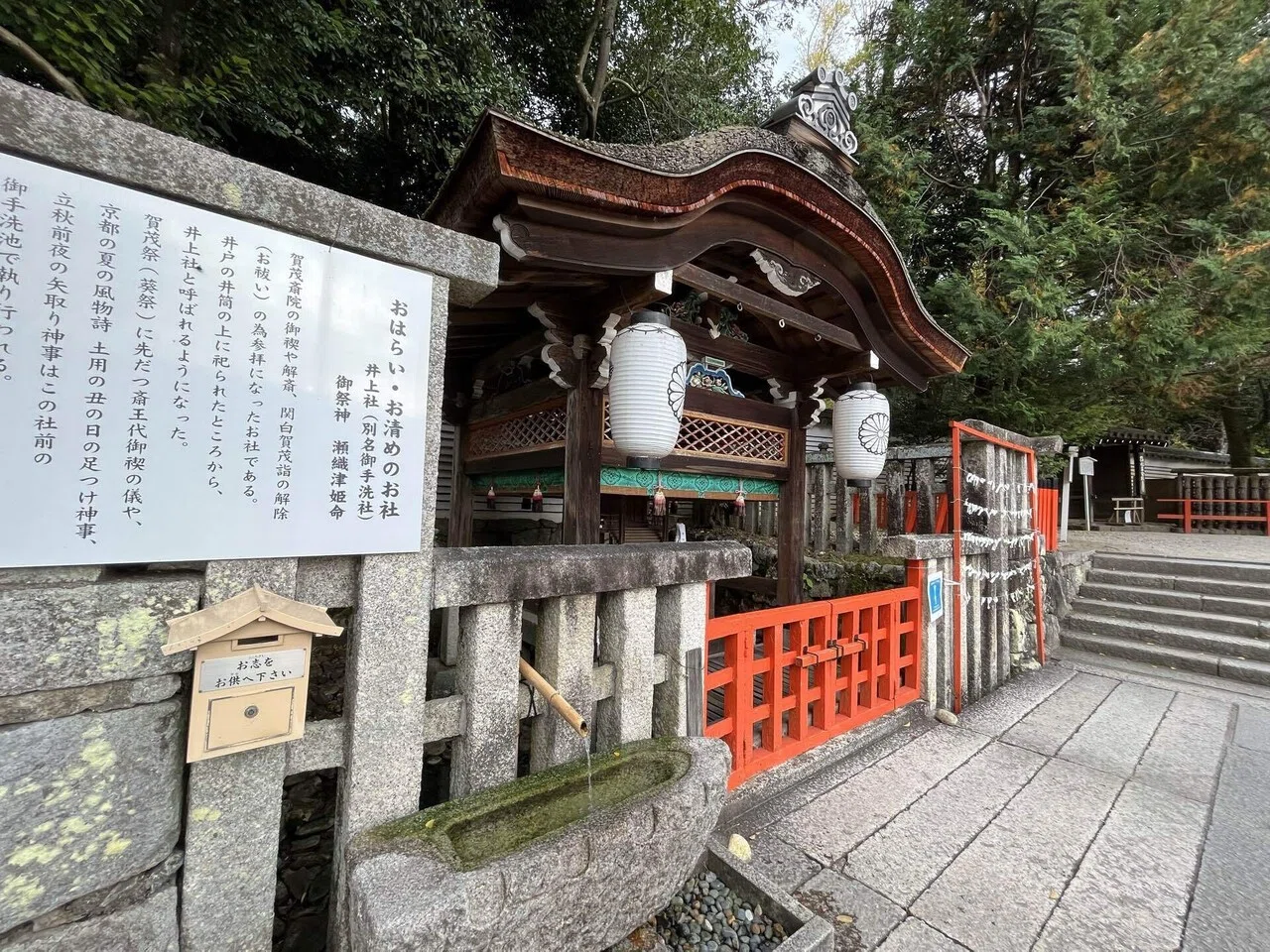 原生林から湧き出すご神水の、秘めたる力を。 下鴨神社（賀茂御祖神社
