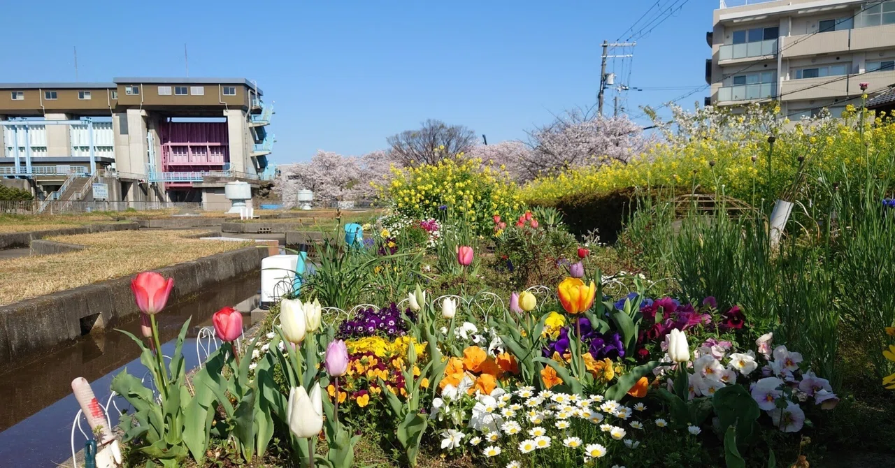 淀川 河川 公園 長柄 地区