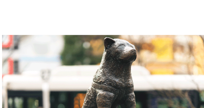 d88cbb343f28b388aed01a40360d13