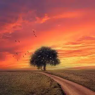 Life is Art