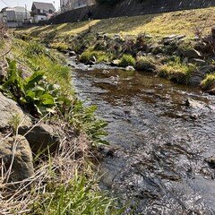 【水の音】ぽかぽかの境川にて癒されました