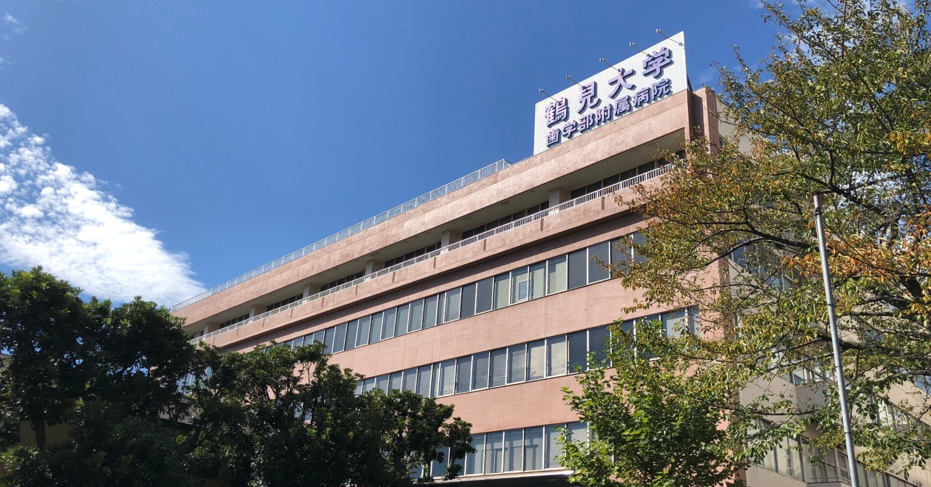 鶴見大学はじめ　歯学部、歯科大向け教科書　留年回避セット限定販売 hq720.jpg?sqp=-