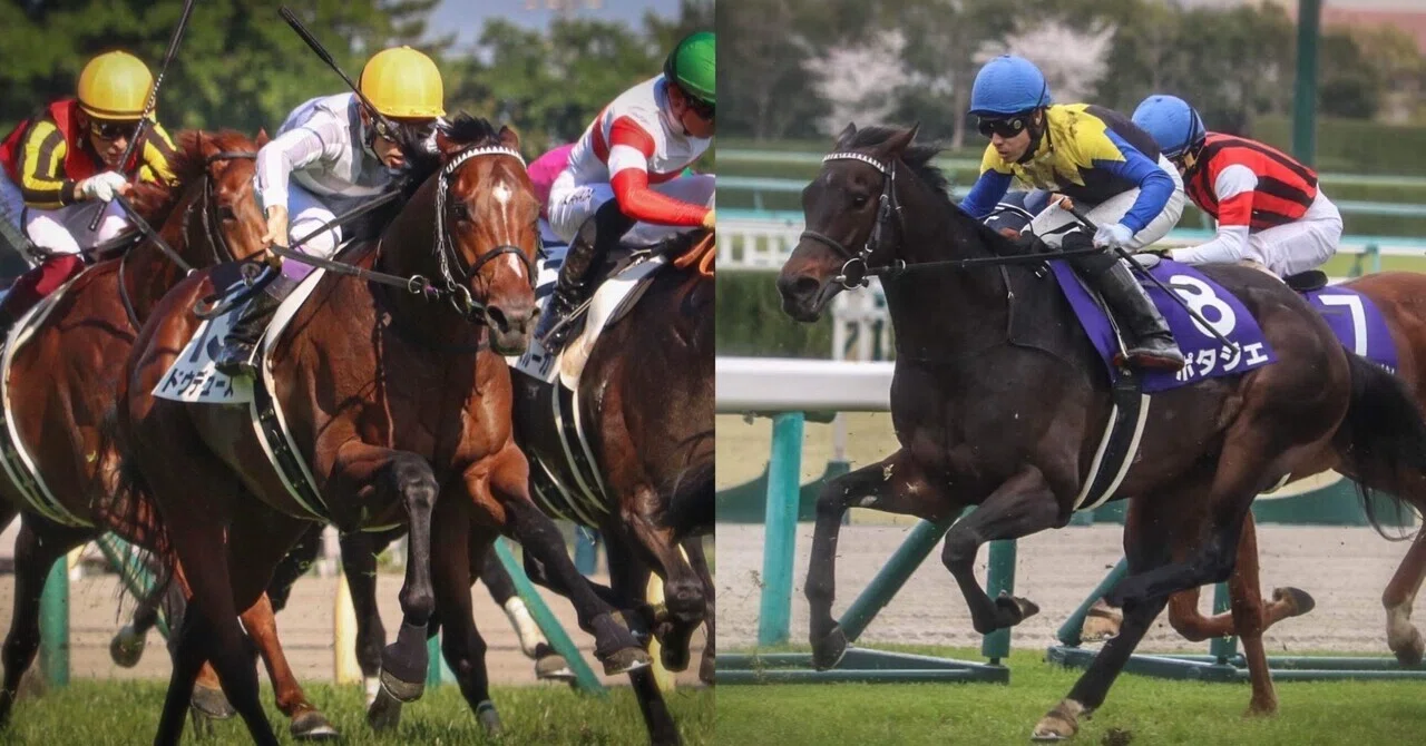 活動歴および当時の関連ビジュアル記録