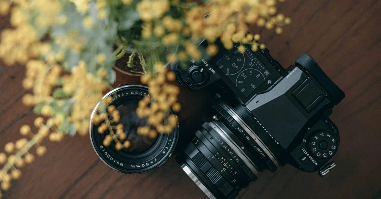 GFX 50SⅡを購入しました。｜Mizuki Tanaka