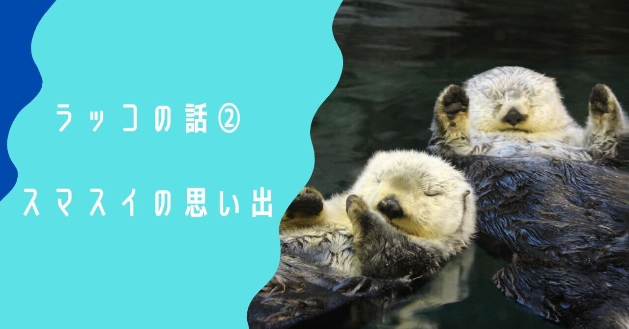 ラッコ 須磨海浜水族園 須磨水族館 おまけ付き Amazon.co.jp: ラッコ 須磨海浜水族園 須磨水族館 : おもちゃ