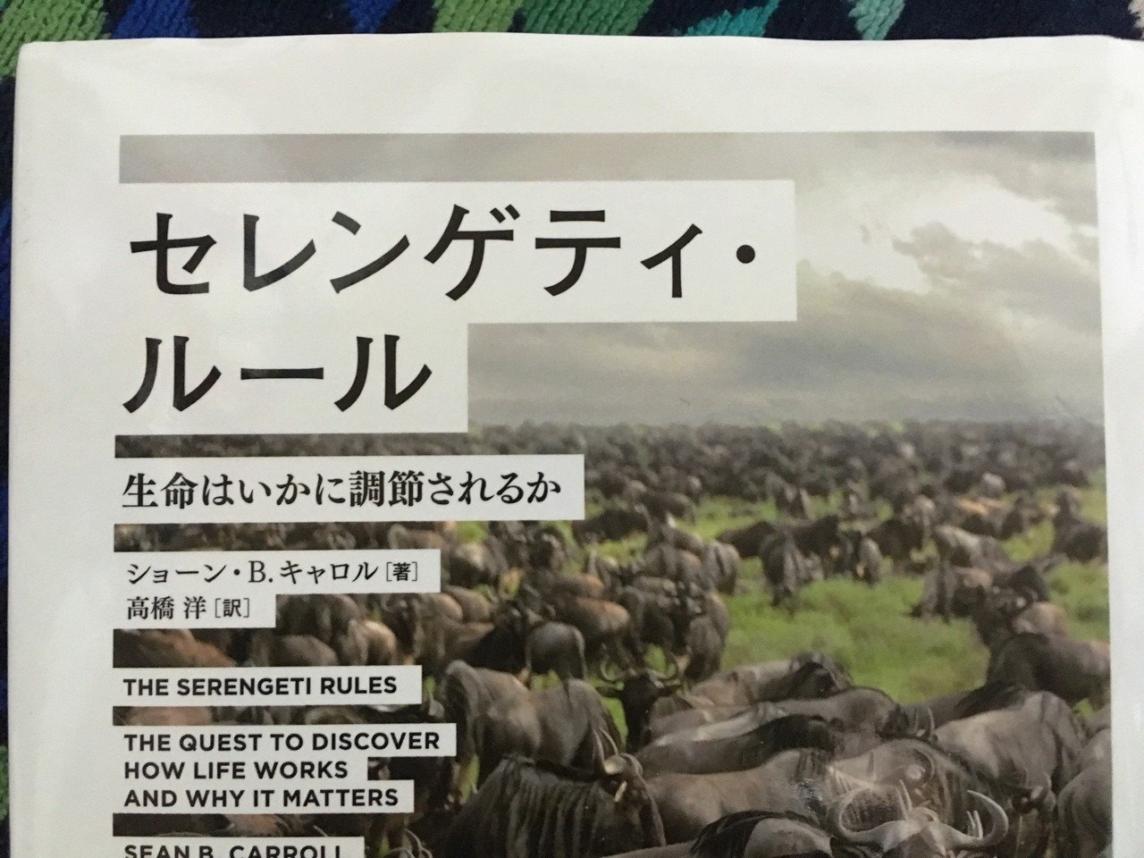 セレンゲティ ルール ショーン B キャロル 棚橋弘季 Hiroki Tanahashi Note セレンゲティ ルール ショーン B キャロル 棚橋弘季 Hiroki Tanahashi Note